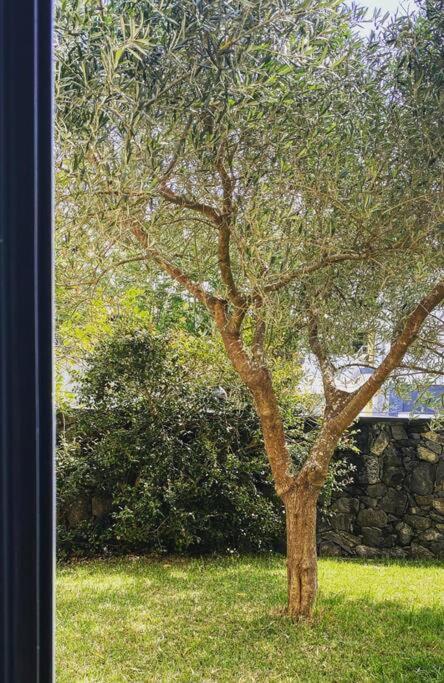 Casa Raiz Βίλα Πόντα Ντελγκάντα Εξωτερικό φωτογραφία